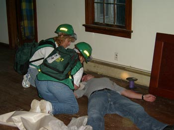 S4200161_bg image